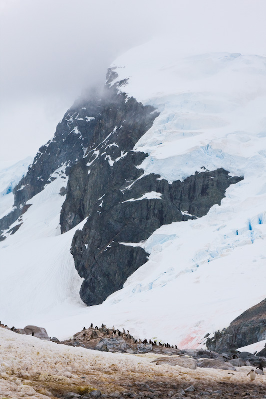 Moutain Above Gentoo Penguin Colony